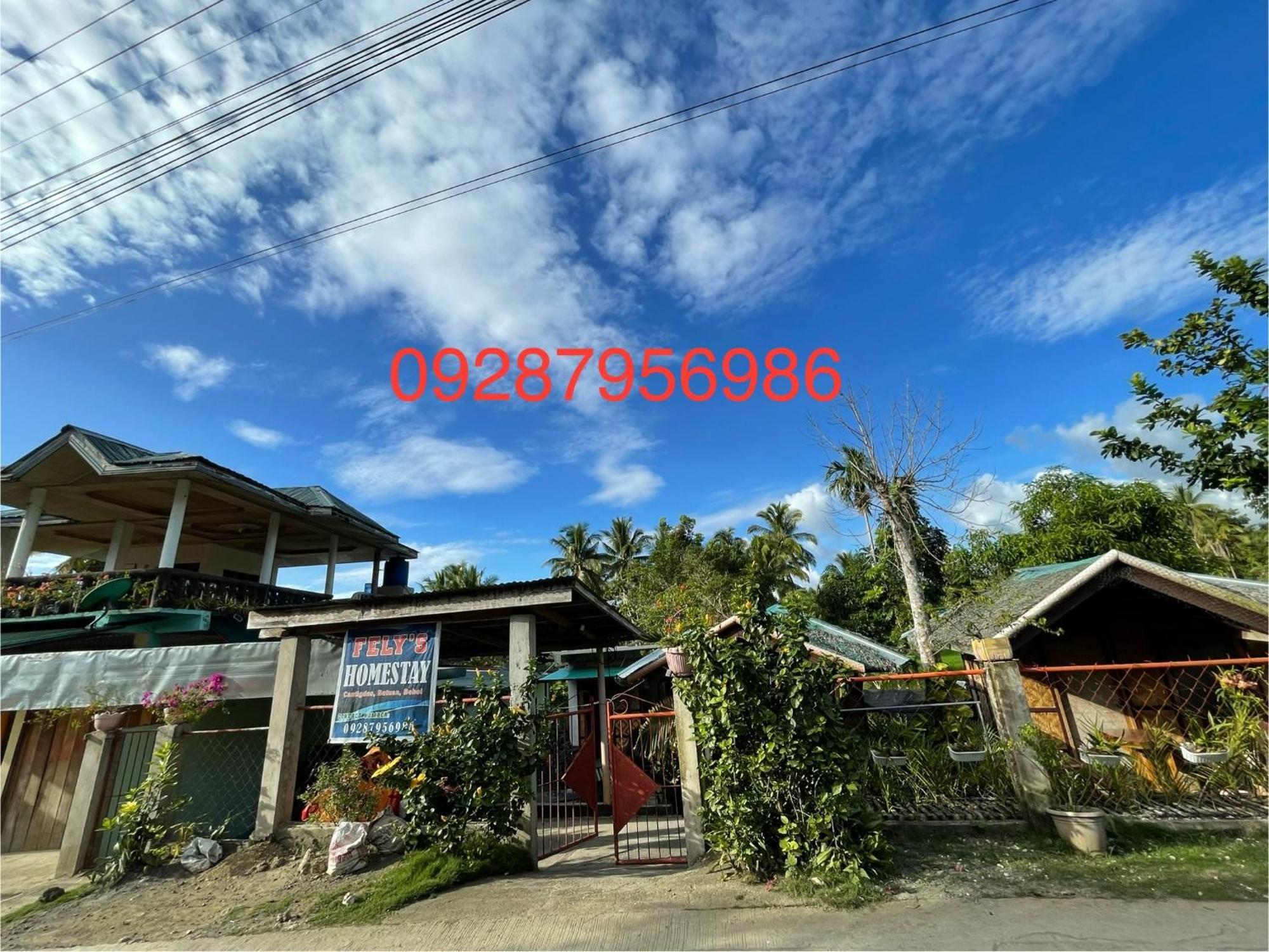 Fely'S Homestay Batuan Ngoại thất bức ảnh